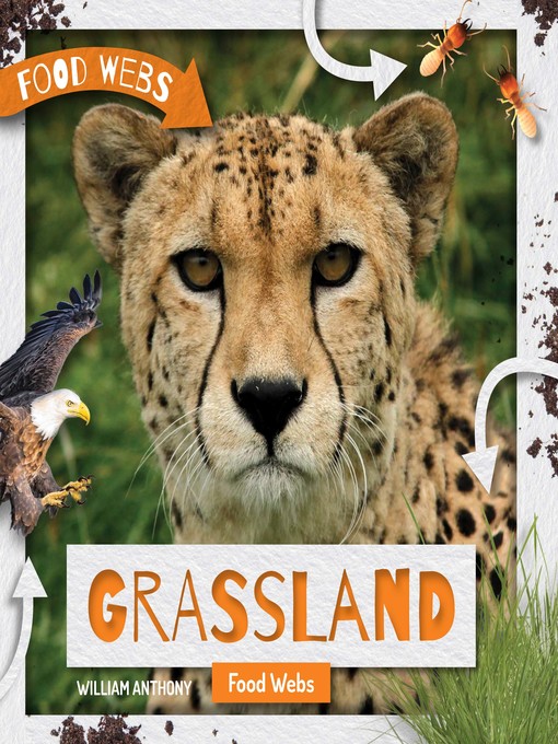 Title details for Grassland Food Webs by William Anthony - Available